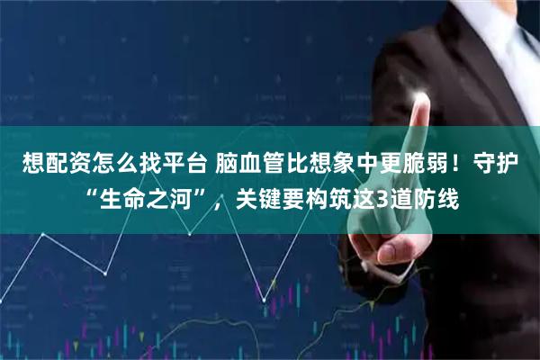 想配资怎么找平台 脑血管比想象中更脆弱！守护“生命之河”，关键要构筑这3道防线