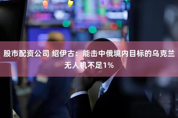 股市配资公司 绍伊古：能击中俄境内目标的乌克兰无人机不足1%
