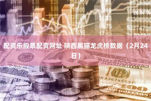 配资乐股票配资网址 陕西黑猫龙虎榜数据（2月24日）