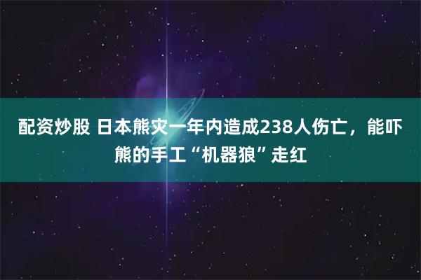 配资炒股 日本熊灾一年内造成238人伤亡，能吓熊的手工“机器狼”走红