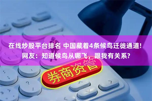 在线炒股平台排名 中国藏着4条候鸟迁徙通道! 网友：知道候鸟从哪飞，跟我有关系?